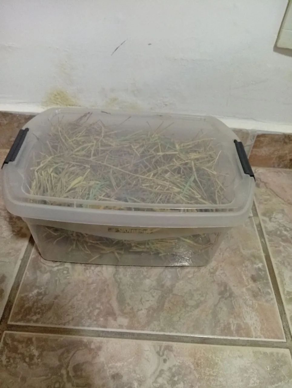 Organizador com Feno + BRINDES