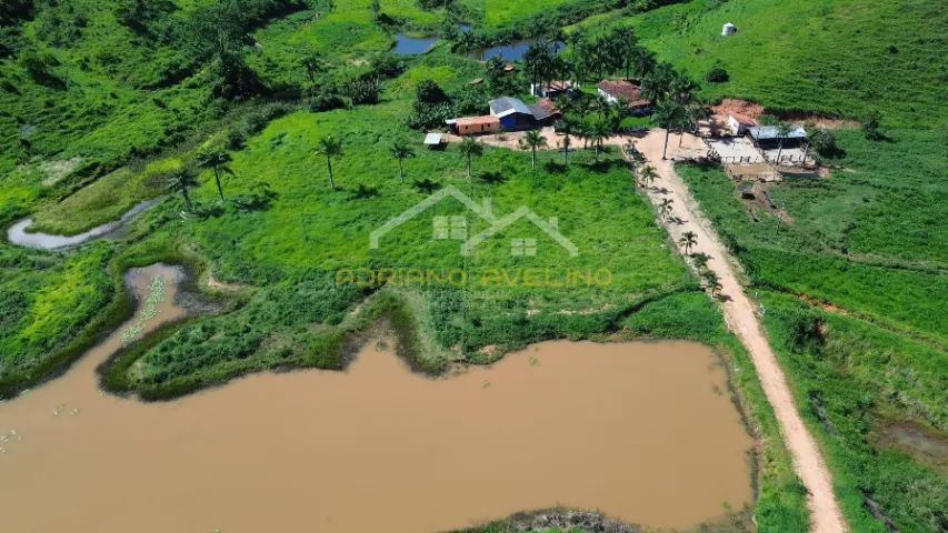 Fazenda 212,96ha - Malacacheta/MG