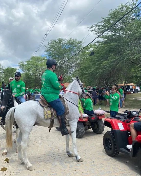 Cavalo Mangalarga marchador para venda