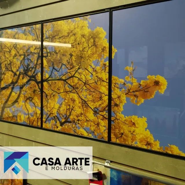 Quadros de ipe com composição 