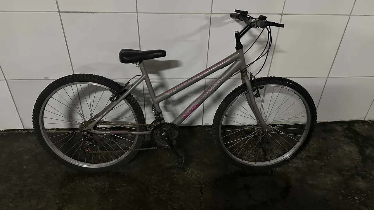 Bicicleta Aro 26