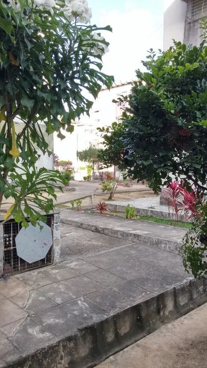 Excelente Apartamento  para VENDA - Foto 5