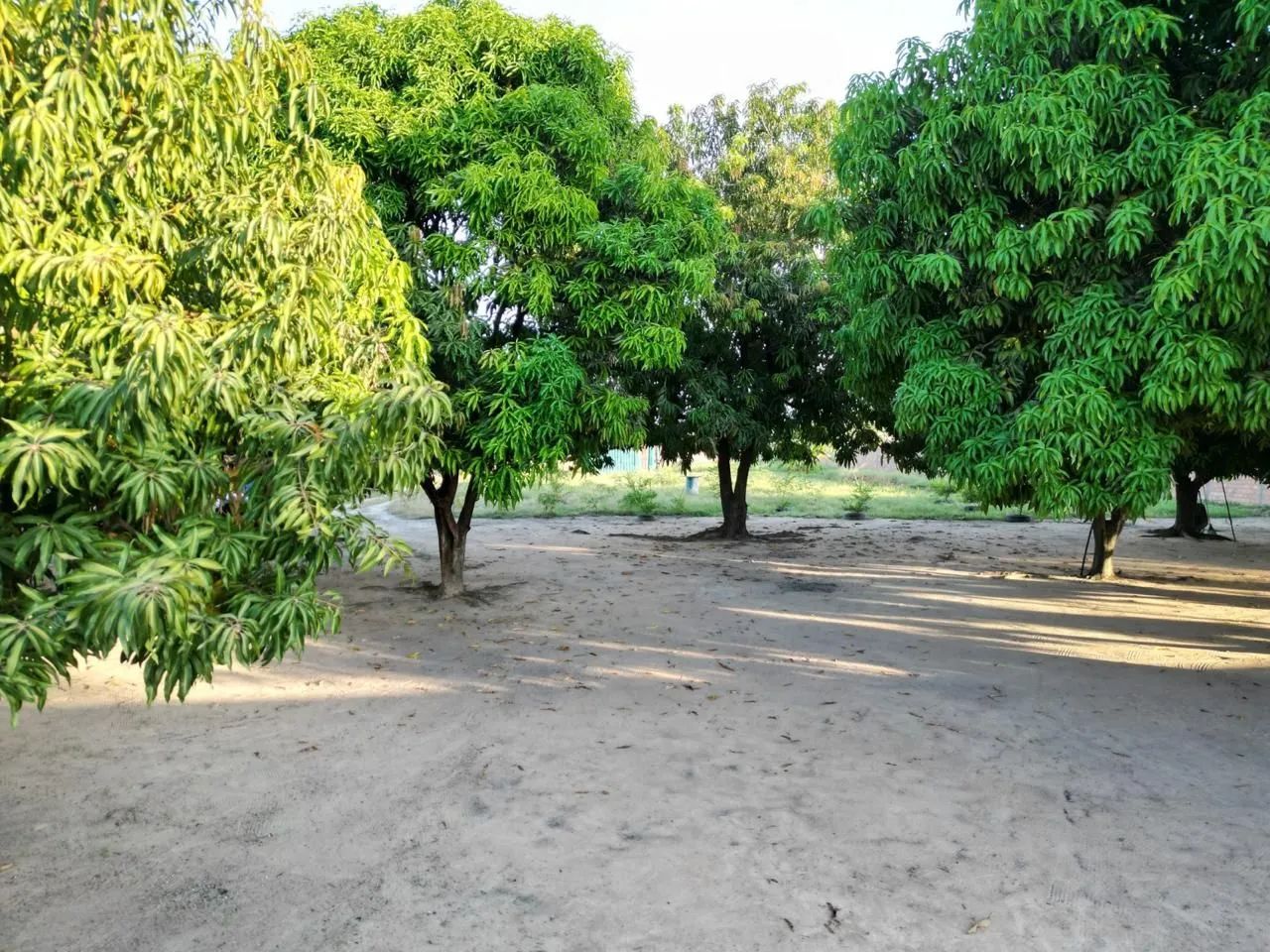 Terreno a Venda DISTRITO INDUSTRIAL  - Foto 6