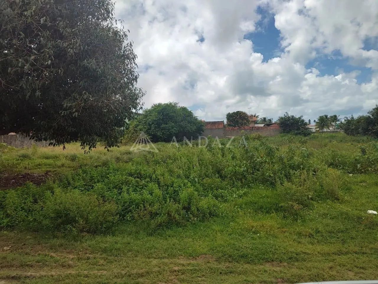 Terreno a 80 metros da Praia! - Foto 4