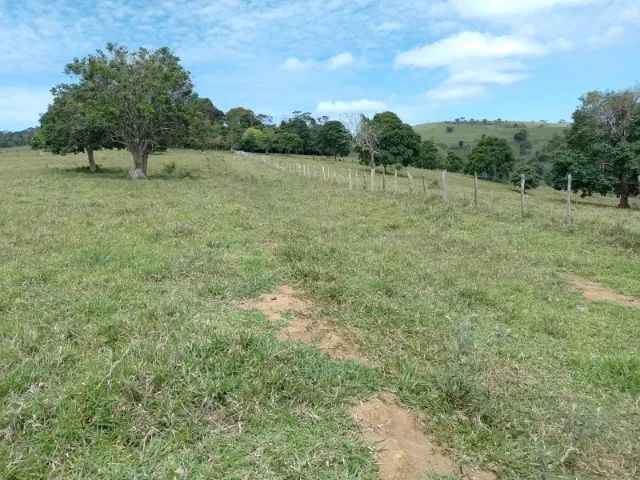 FAZENDA EM CRAVOLÂNDIA - 750 TAREFAS - Foto 4