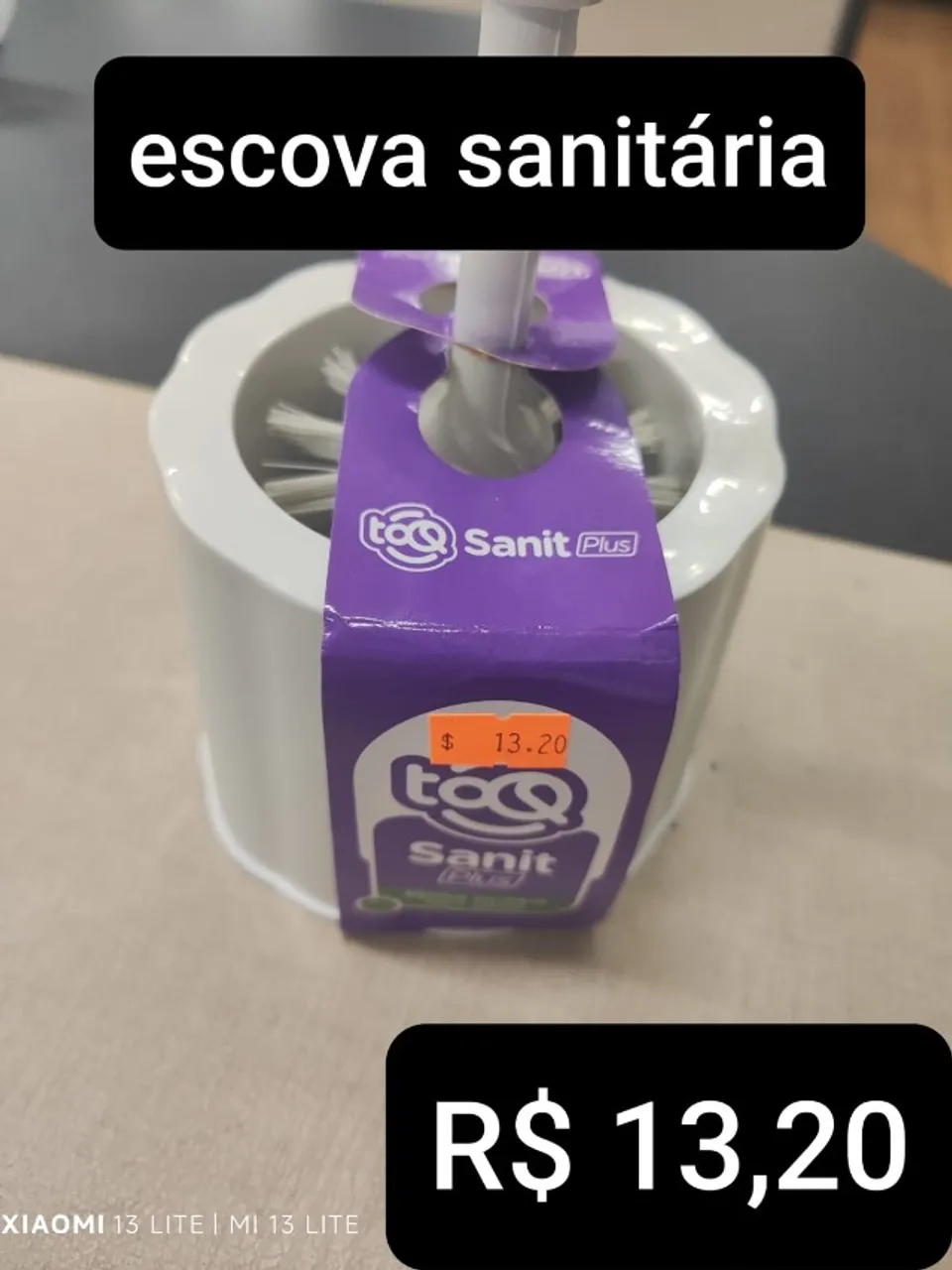 ESCOVA SANITARIA WC