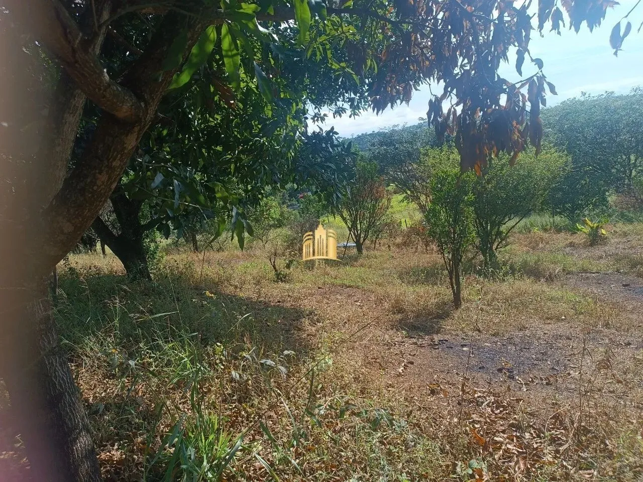 Sítio à Venda Condomínio Sete Lagos: 3 Casas, 6 Quartos e Pomar!