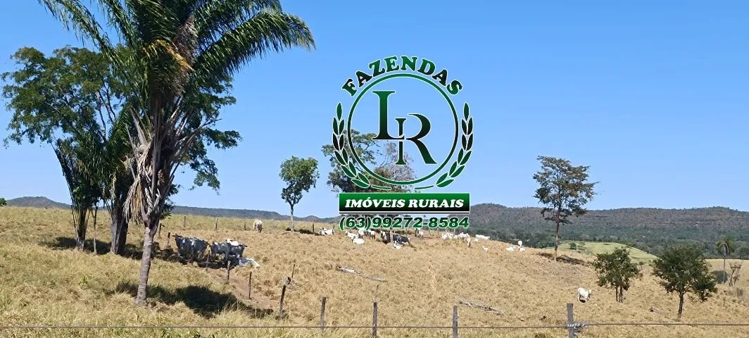 Fazenda Pecuária, Área 116 alqueires, Próximo a Palmas - Foto 5