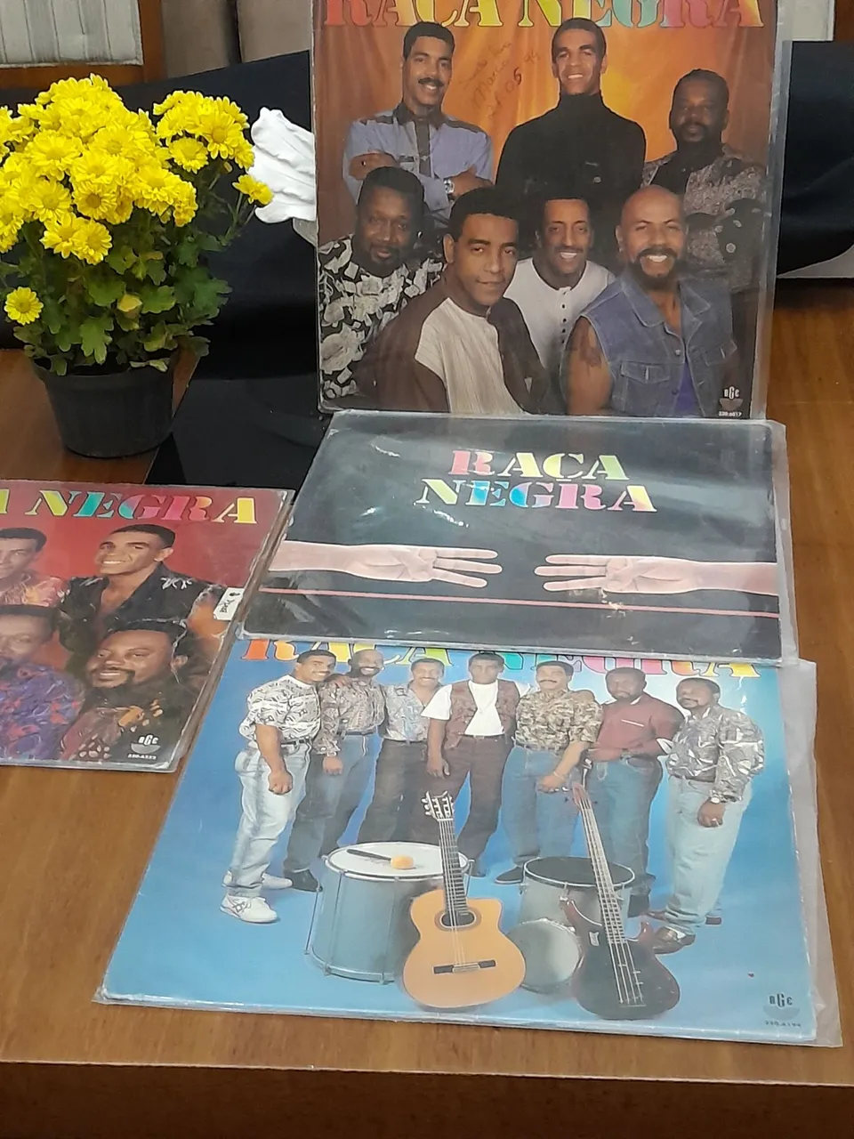 Lotes de Discos de Vinil - Raça Negra
