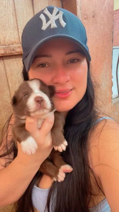 Perfeição de BORDER 