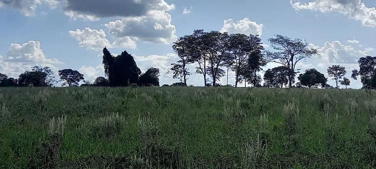 Fazenda pra lavoura com 100% aproveitamentos  - Foto 5