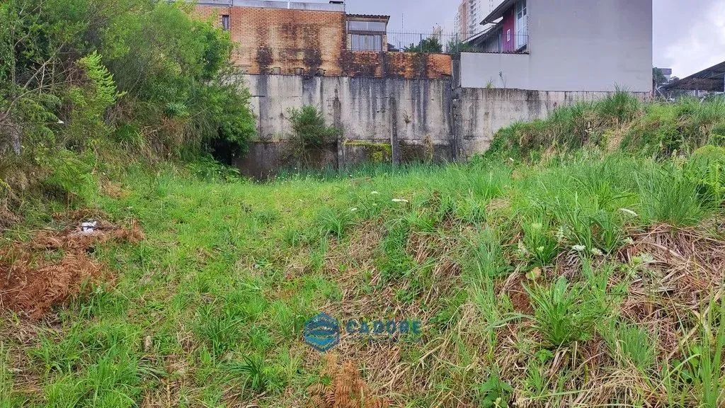 Terreno no Cristo Redentor - Foto 3