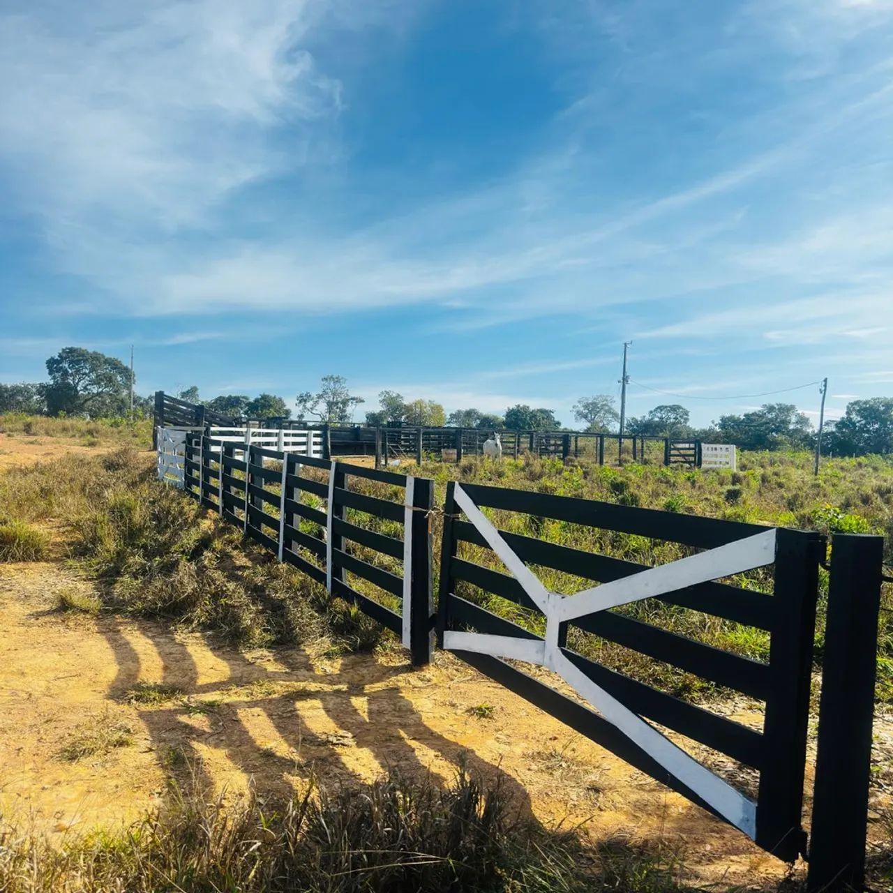 Fazenda à venda, Ótimo investimento  - Foto 5
