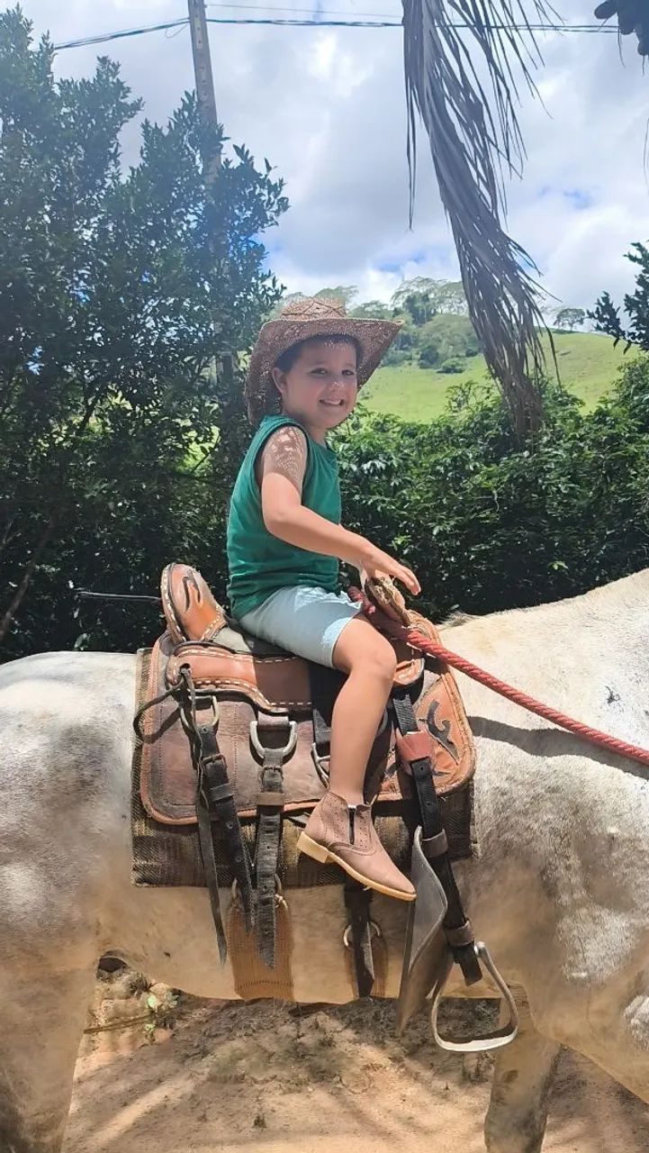 Cavalo  - Foto 4