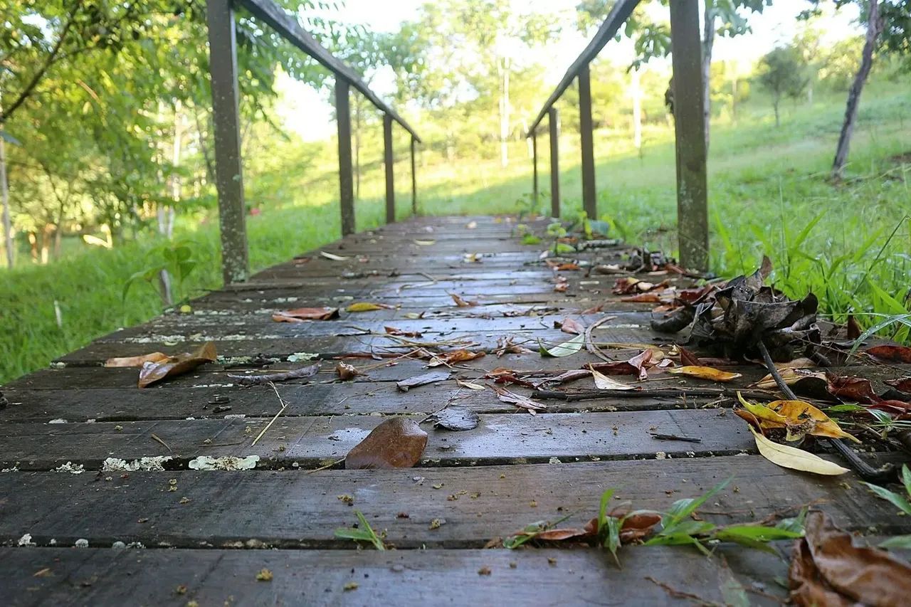 Área à venda no bairro Centro - Bela Vista de Goiás/GO - Foto 4