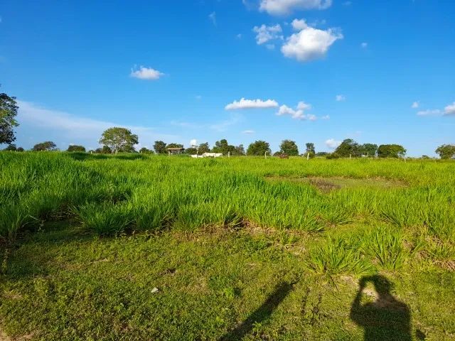 Faz. com preço muito bom, Araguaina/Tocantins, Pega imóveis em Brasília. - Foto 4