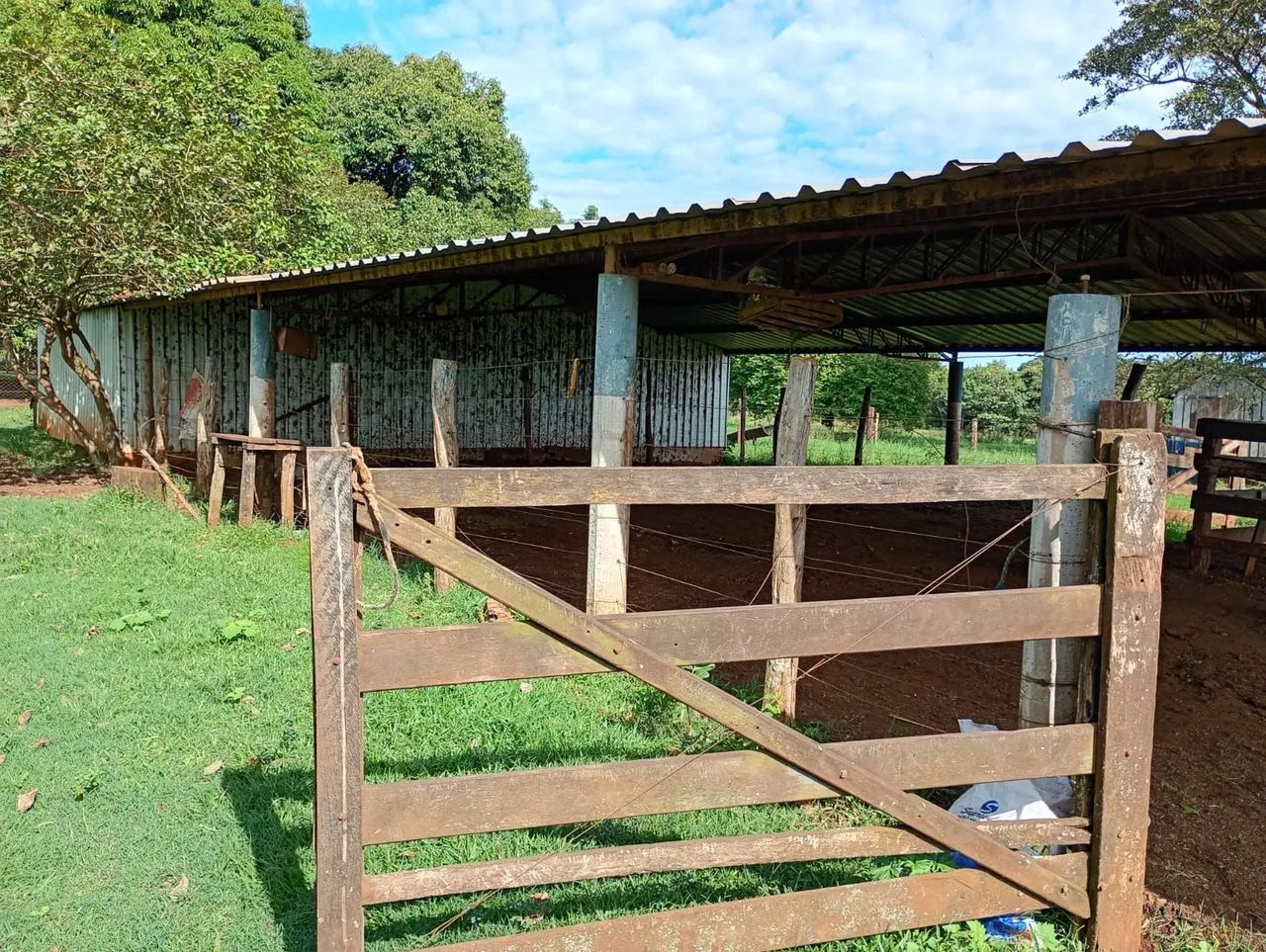 Galpão para leiteria ou granja - Foto 2