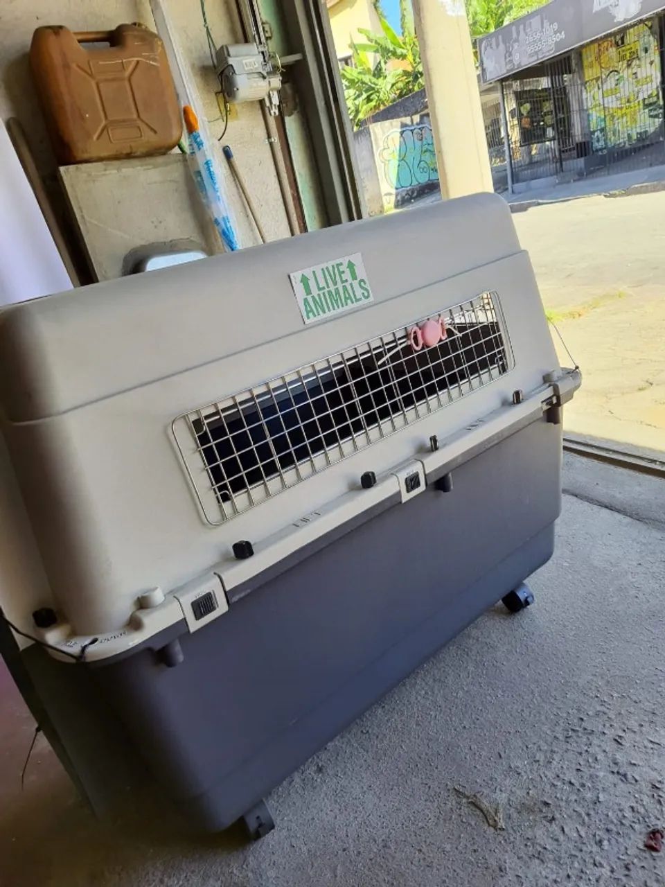 Caixa de Transporte de Animais - Foto 3