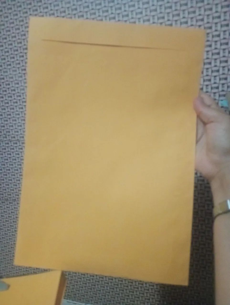20 Envelopes de papel pardo