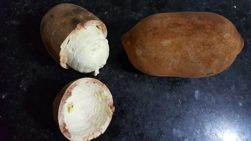 Fruta Cupuaçu Cupuassu Poupa pasta - Foto 2