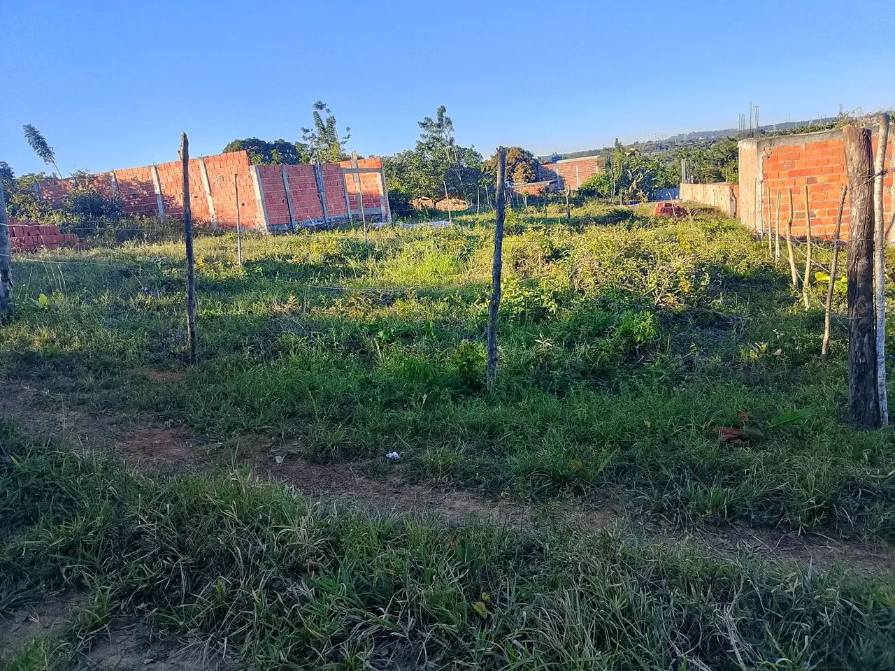 Terreno  - Foto 3
