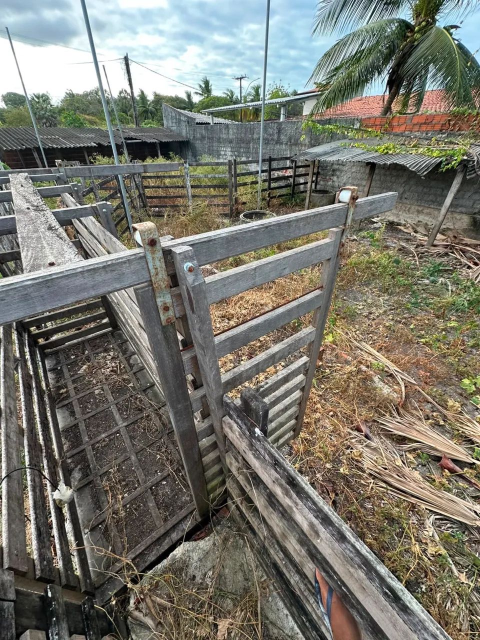 BALANÇA GADO DIGITAL - Foto 4