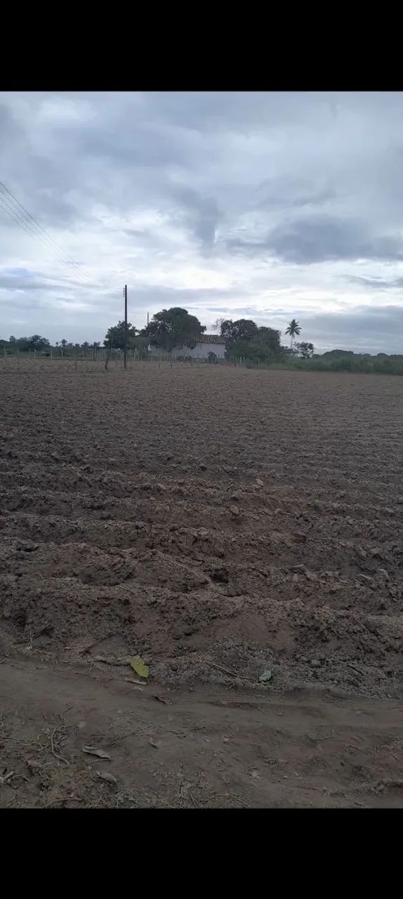 Vende se esse sitio - Foto 3