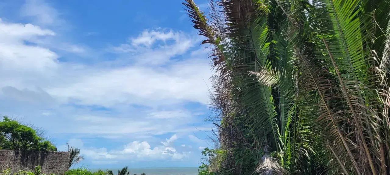 PRAIA DE PANAQUATIRA: Terreno à venda vista mar  Grande Ilha de São Luís. - Foto 8