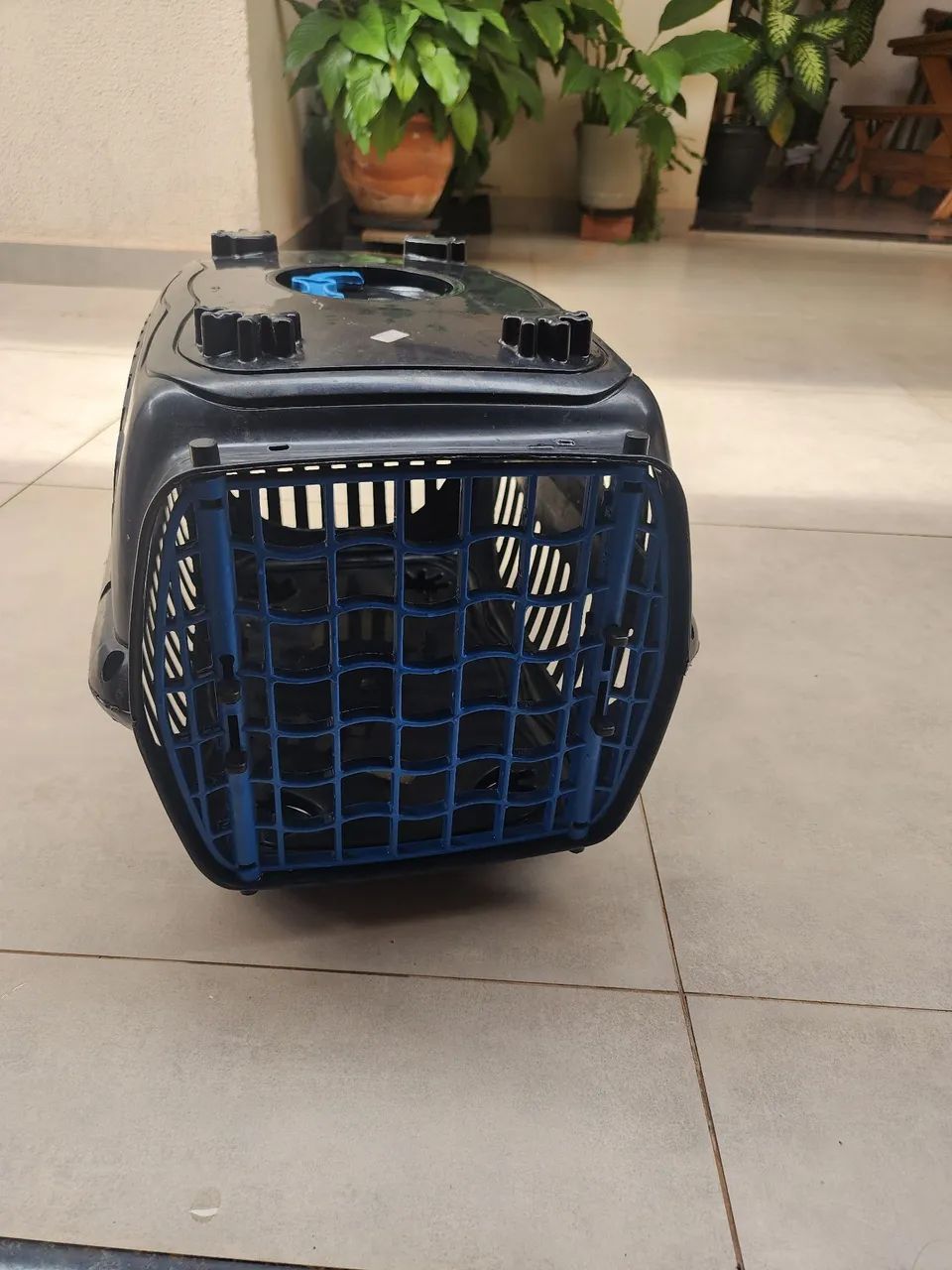 Caixa transporte cachorro 