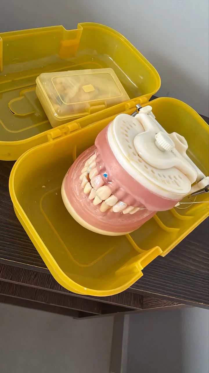 Manequim odontologia