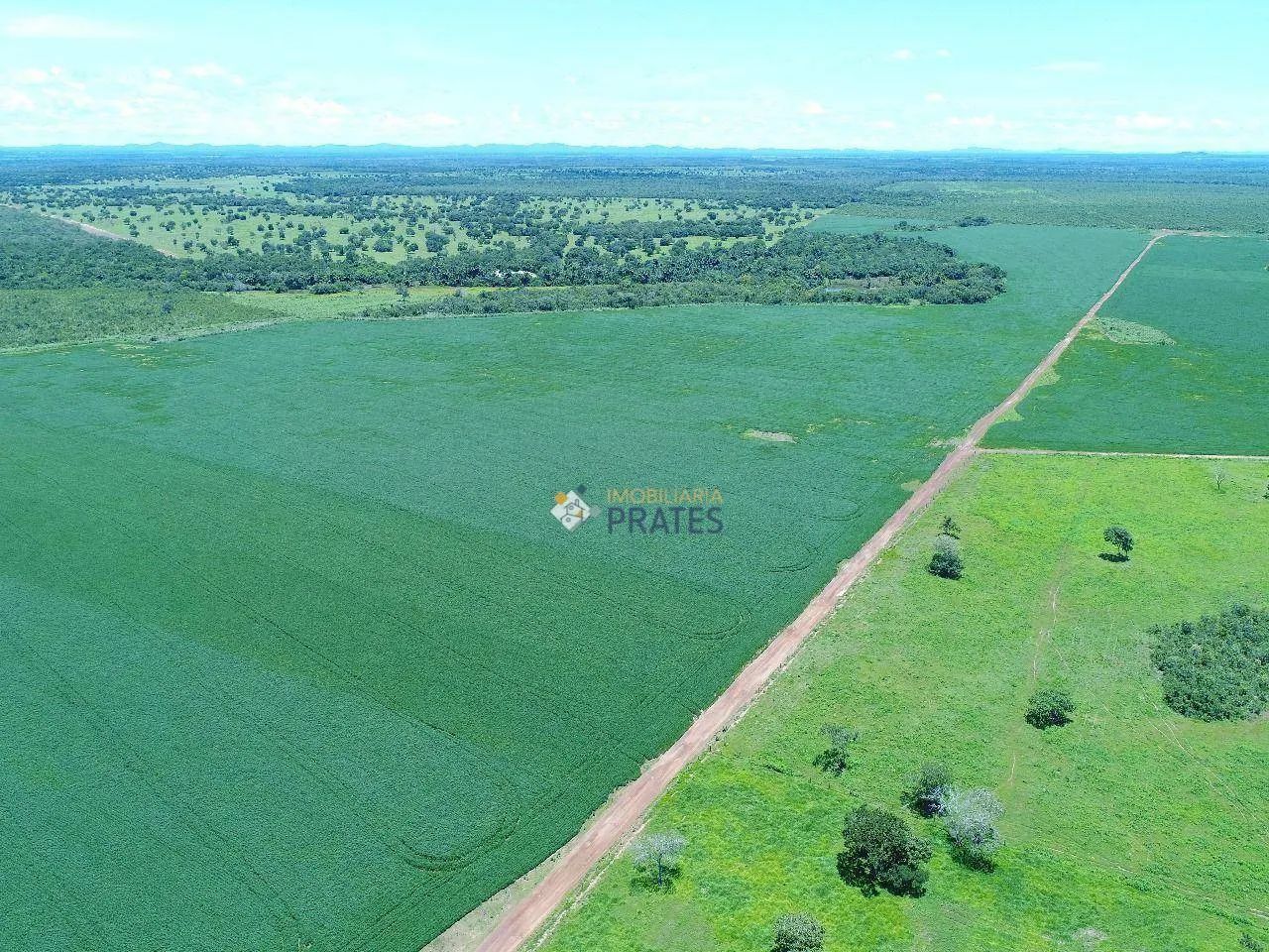 Fazenda Peixes/TO - Foto 5