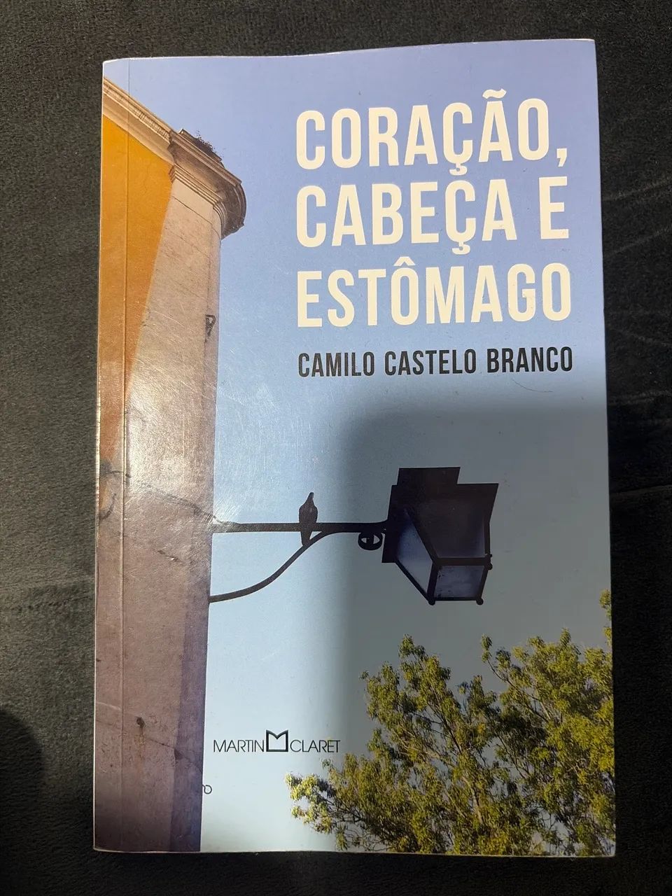 CORAÇÃO, CABEÇA E ESTÔMAGO 