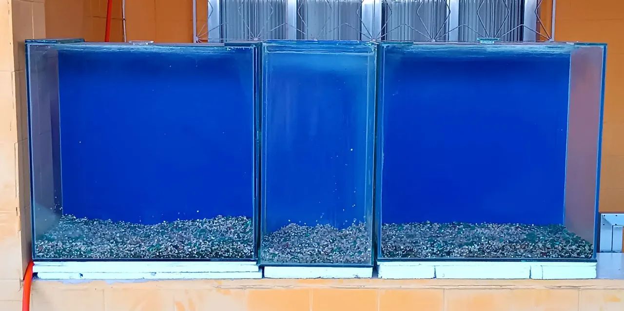 LEVA OS TRÊS!!!! 