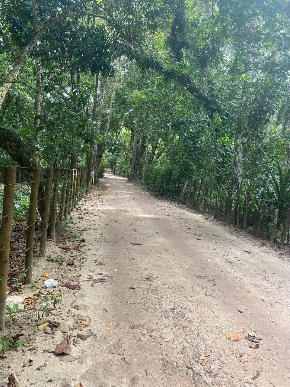 Terreno no centro histórico  - Foto 4