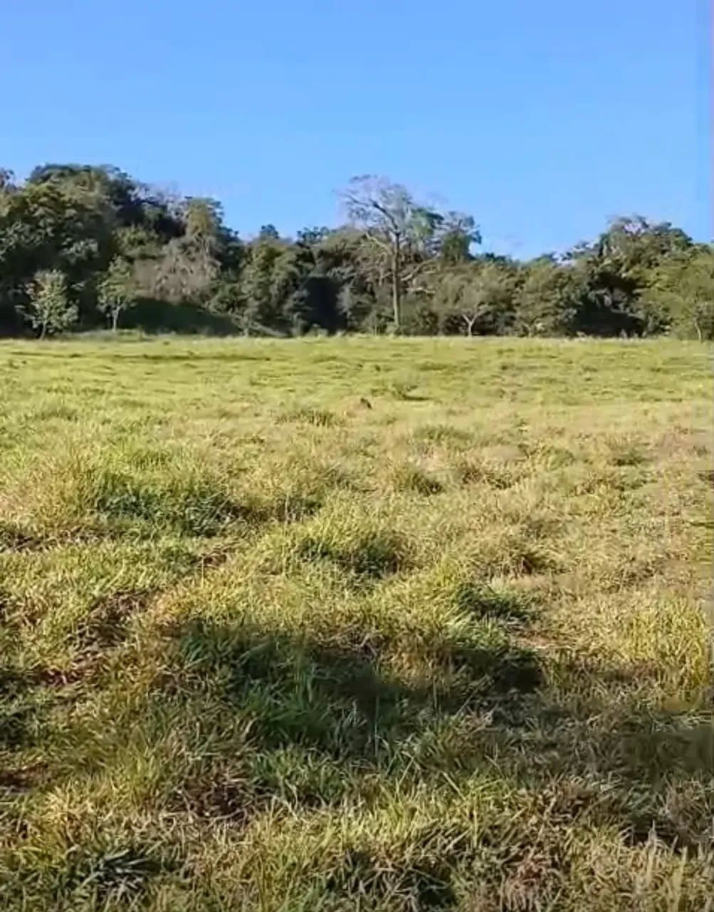 chacara Bela vista - Foto 5