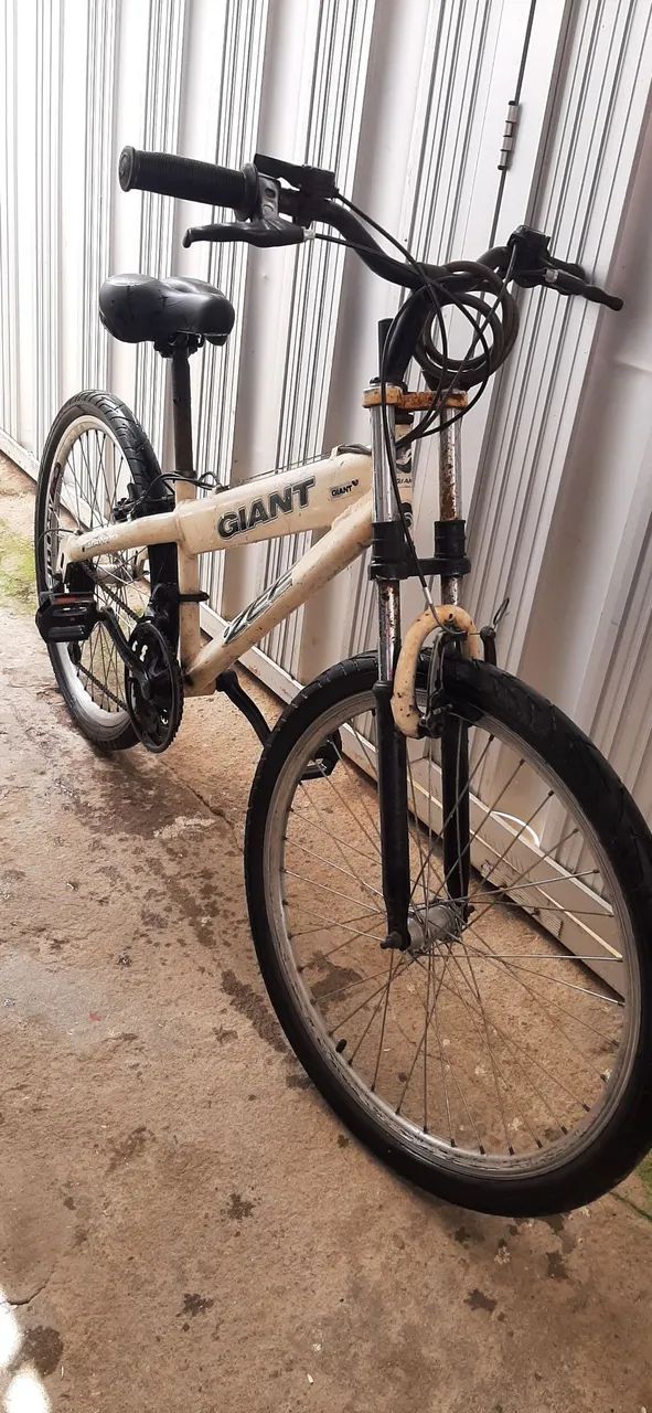 Bicicletas 
