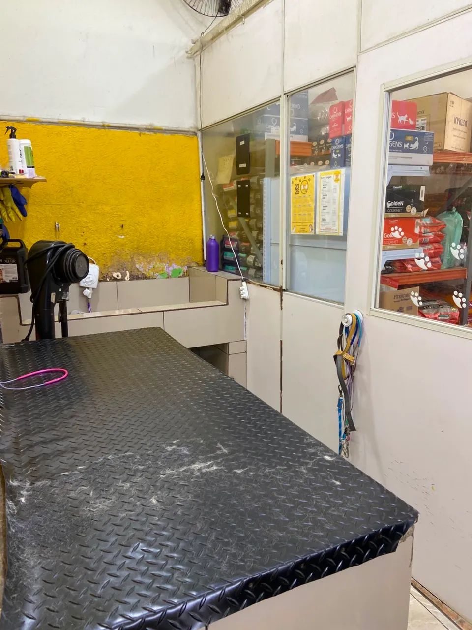 PASSO PONTO PET SHOP (Av Imperador) - Foto 5