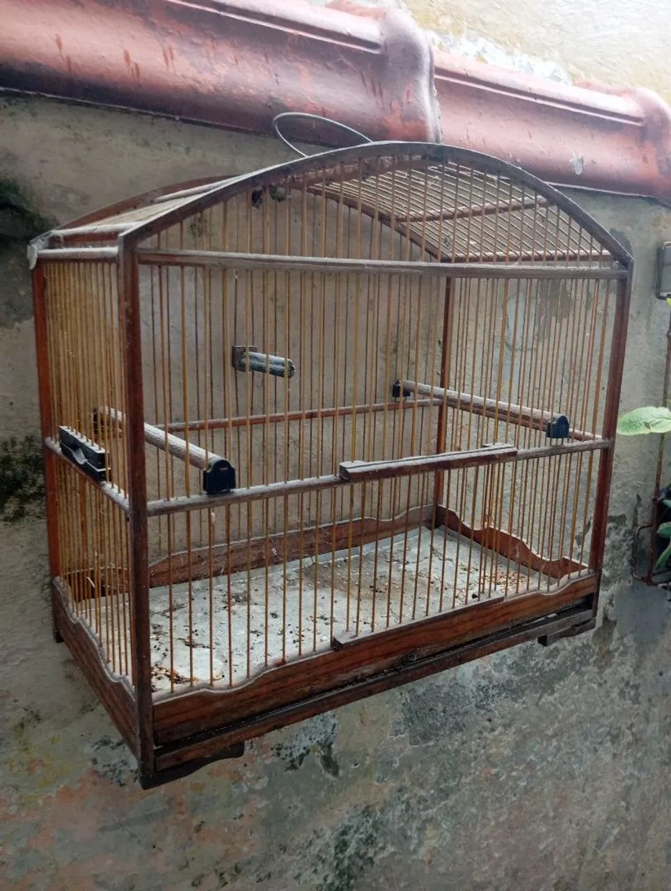 lote de gaiolas  - Foto 5