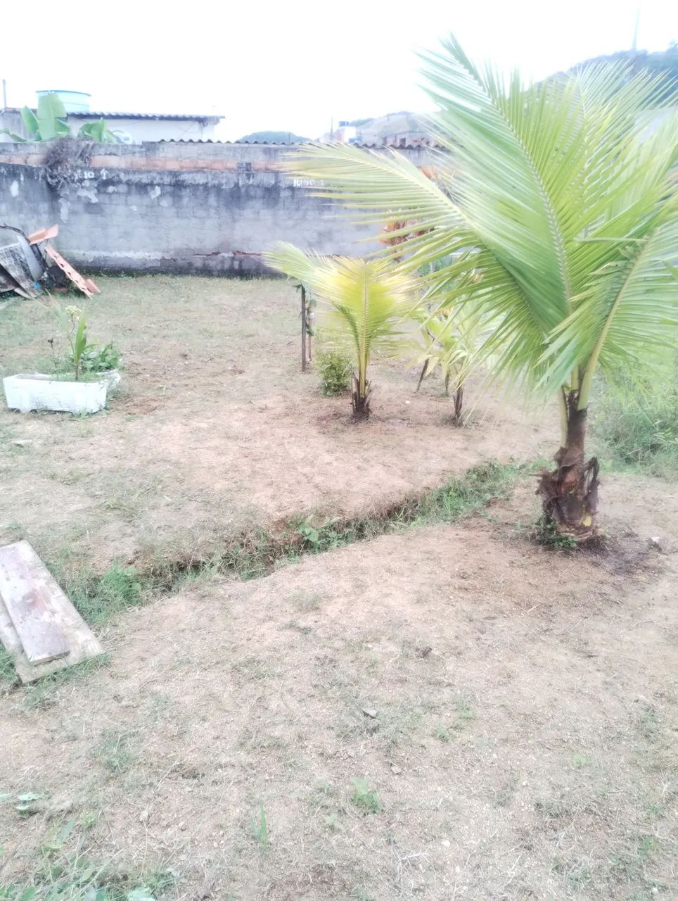 Terreno - Foto 4