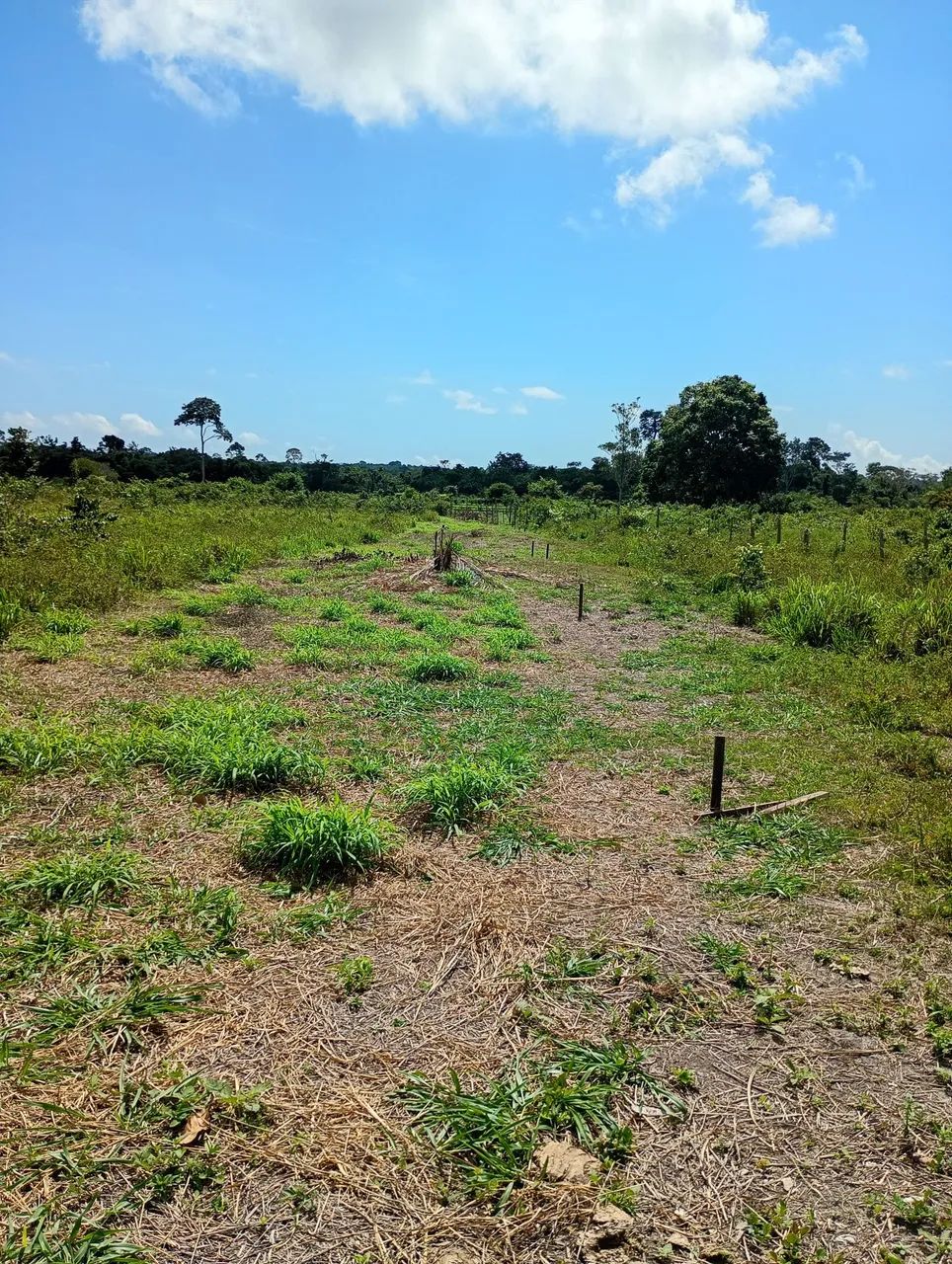 Terrenos a venda 