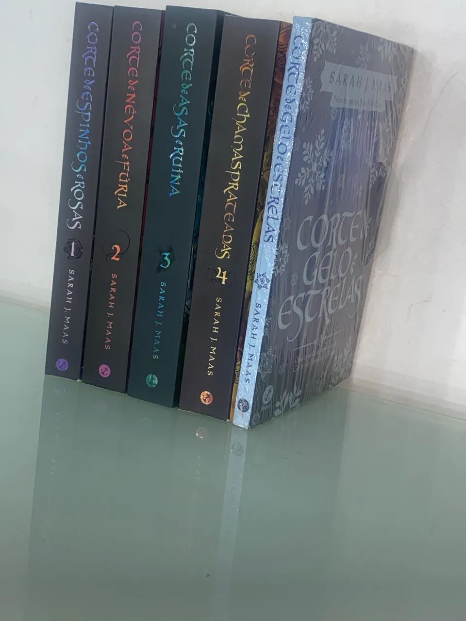 Livro Corte de Espinhos e Rosas