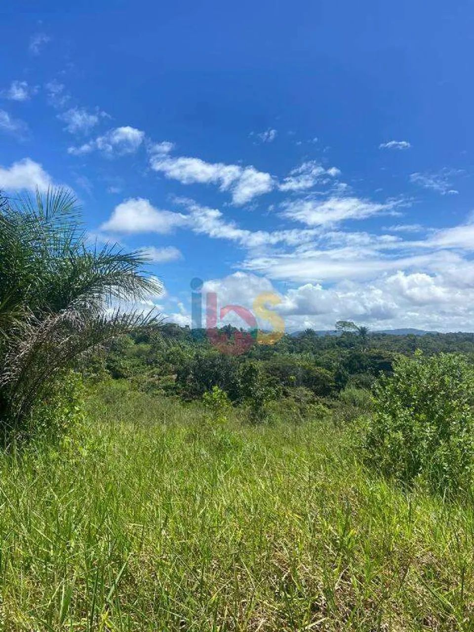 VENDO LOTE EM ÁREA RURAL