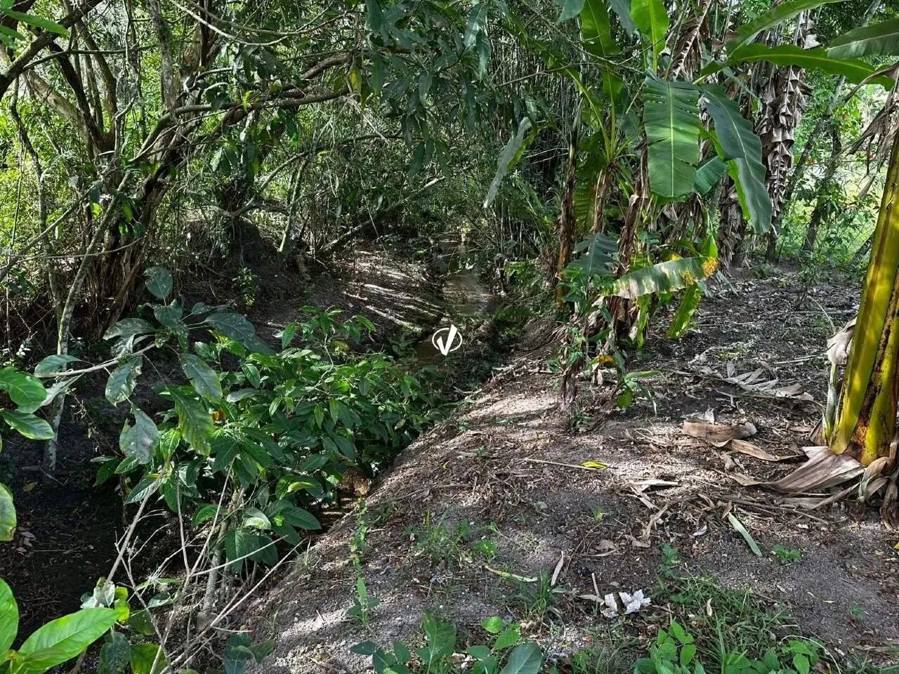 CHÁCARA À VENDA - MORUMBI - PINDAMONHANGABA - SP - Foto 2