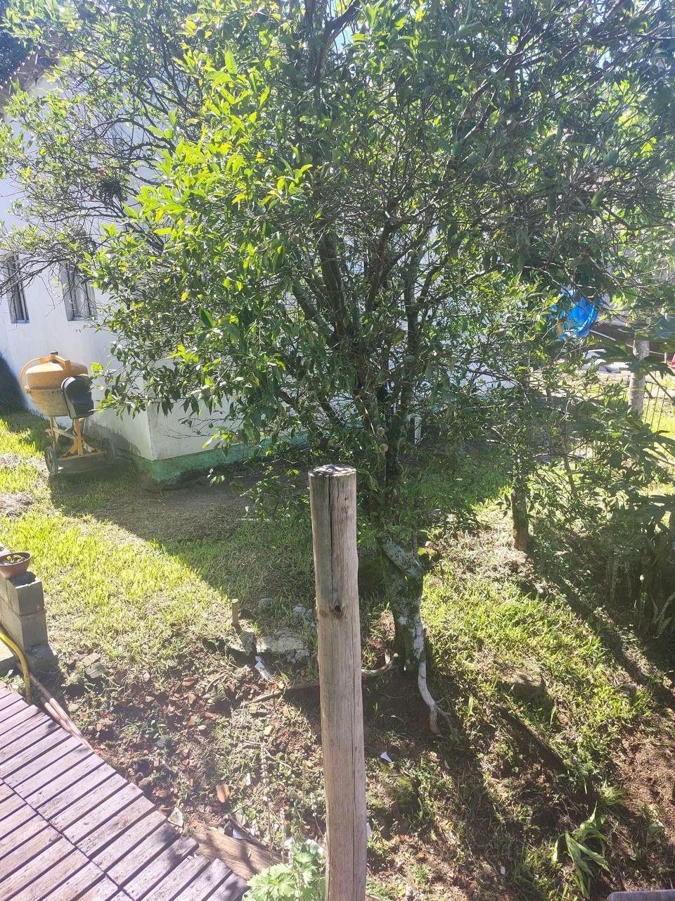 Casas no Ribeirão da Ilha  - Foto 3