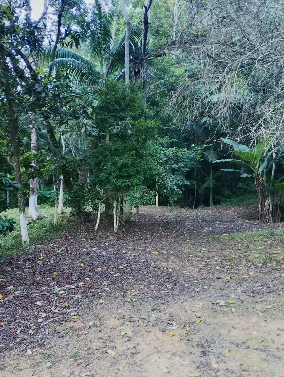 Vendo chácara em Cerro azul  - Foto 2