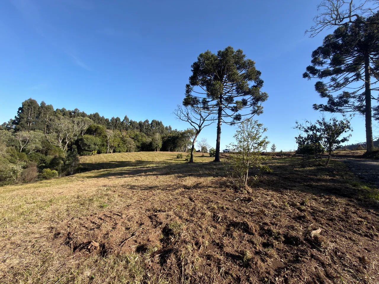 Sítio a apenas 2 km do Centro de Alfredo Wagner - Vista para as Serras - Foto 5