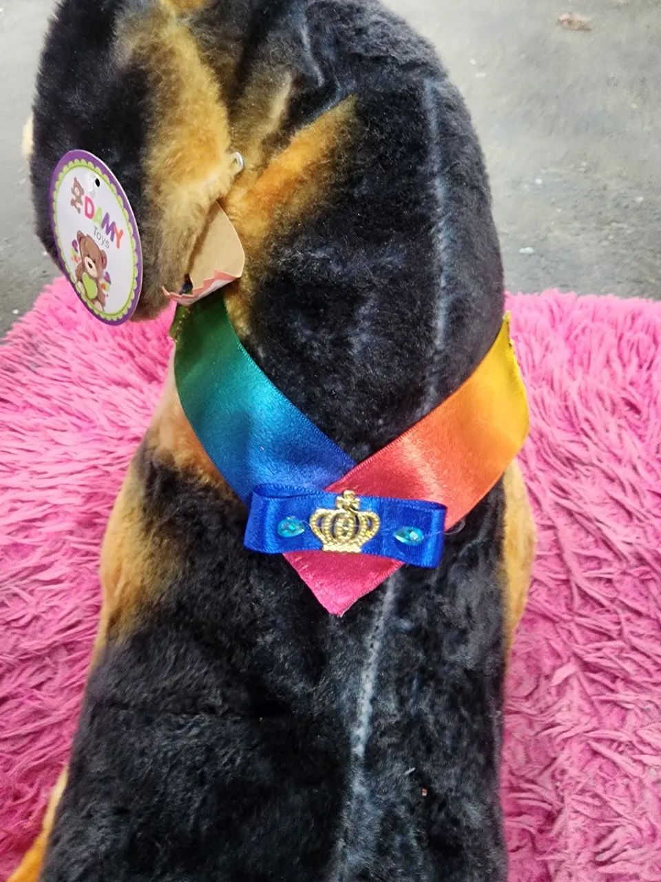 Pet - Foto 3