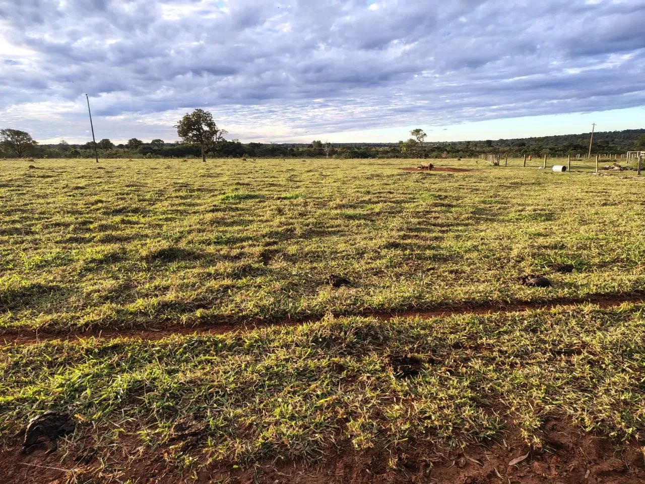 Fazenda 484 HA-  Anhanduí- Campo Grande - MS - Foto 4