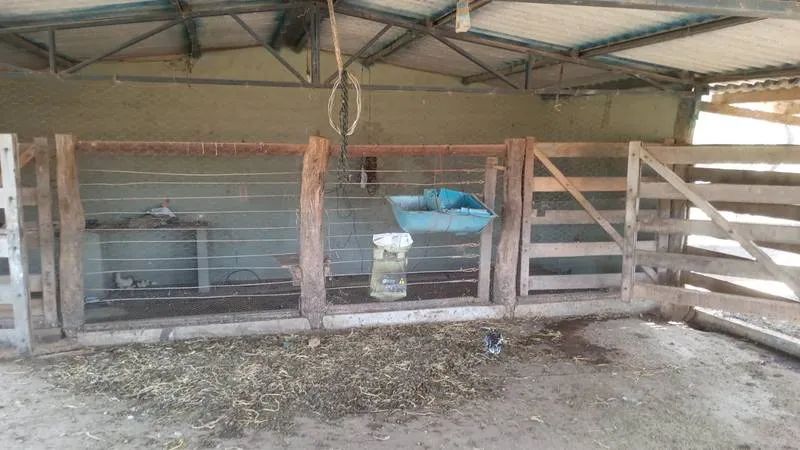 VENDE - SE, CHÁCARA DE 2 ALQUEIRES E 29 LITROS, EM VARJÃO. - Foto 5