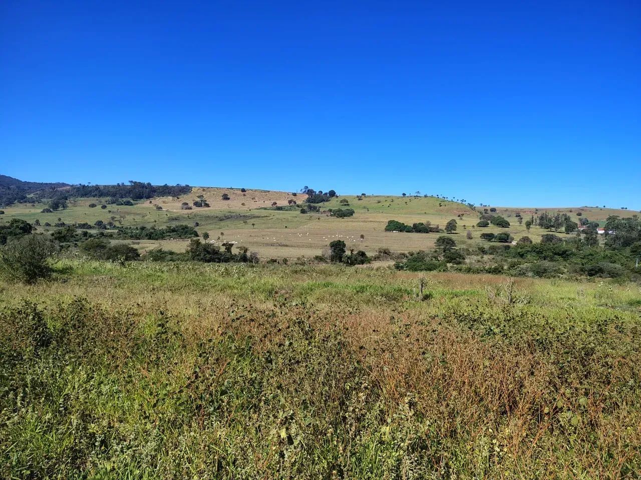 Fazenda ótima logística ,boi ,grãos etc